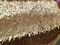 1 Yard Gold Teardrop Sequin Mesh Fabric Black Base for Dresses Prom Events 50/52 ″ Wide